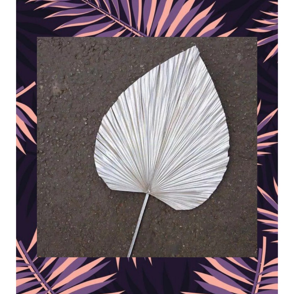 DAUN PALEM KERING GOLD SILVER, DRIED PALM RUSTIC, DAUN PALEM WARNA EMAS SILVER MURAH