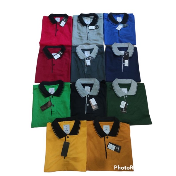 Kaos Polo Nevada