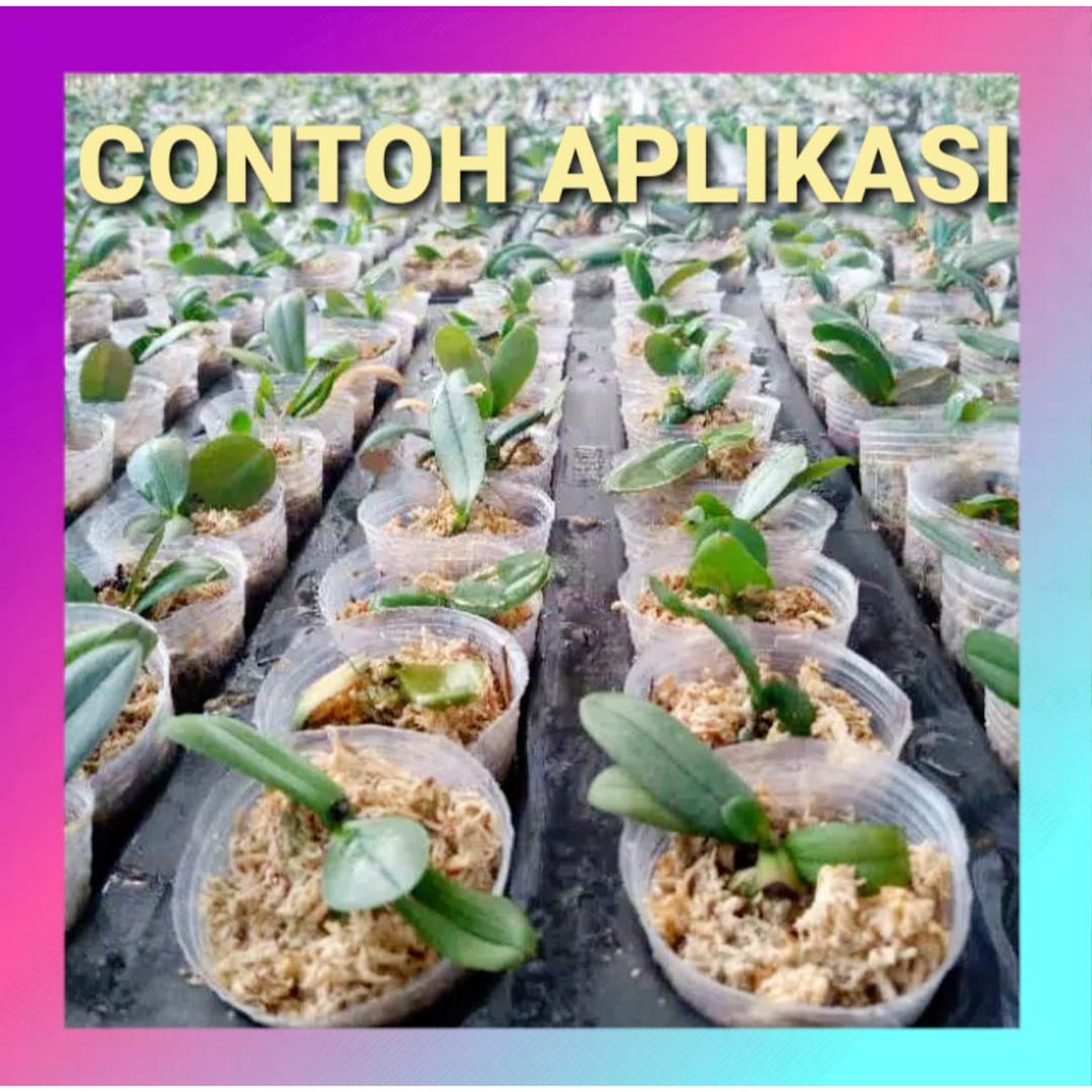 SOFTPOT FLEXIBLE POT 5CM seedling pot Media Tanam Bunga Anggrek Kaktus orchid fleksibel pot 1,5 inch