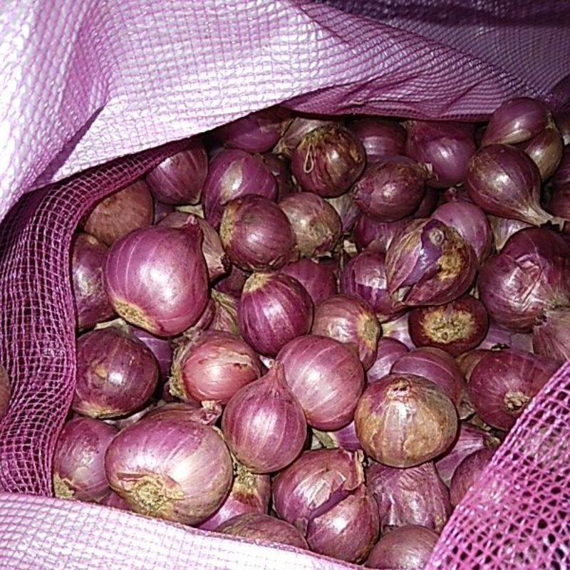 

Bawang Merah 500gr