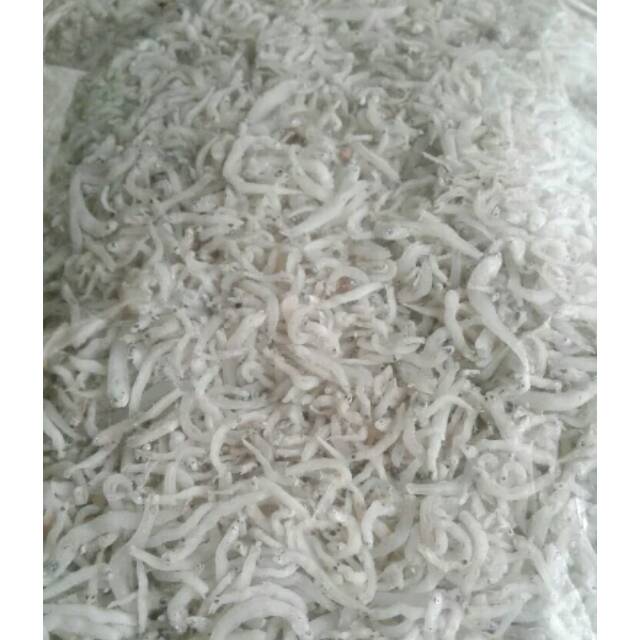 

Ikan teri nasi medan 500