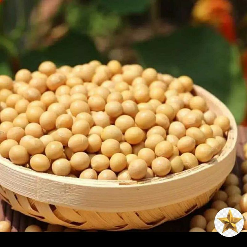 

kacang kedelai curah 250 gram
