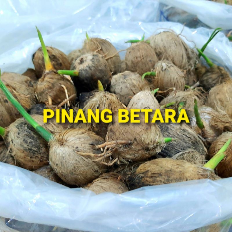 Pinang Betara