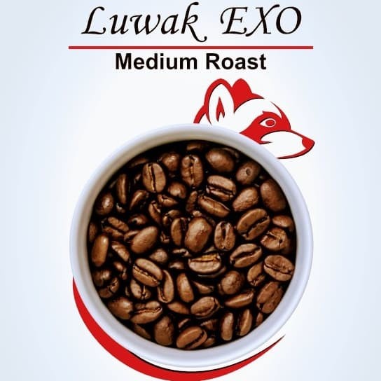 

KOPI LUWAK