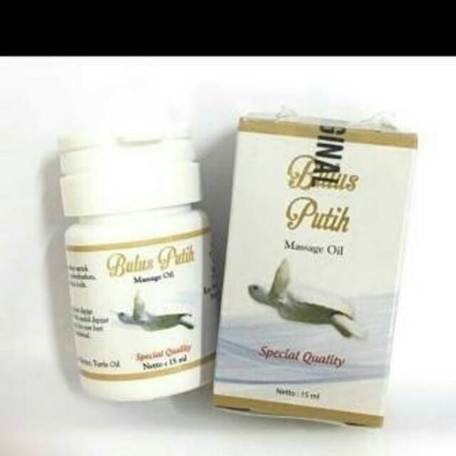 PEMBESAR DAN PENGENCANG PAYUDARA MINYAK BULUS PUTIH MASSAGE OIL ORIGINAL BPOM