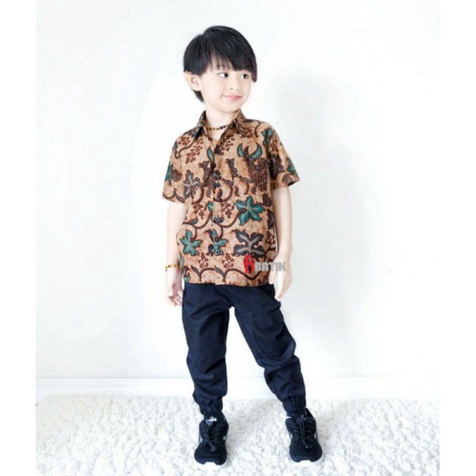 Kemeja Batik Anak - batik anak - baju batik anak laki laki umur 2-12 tahun hem batik anak pendek