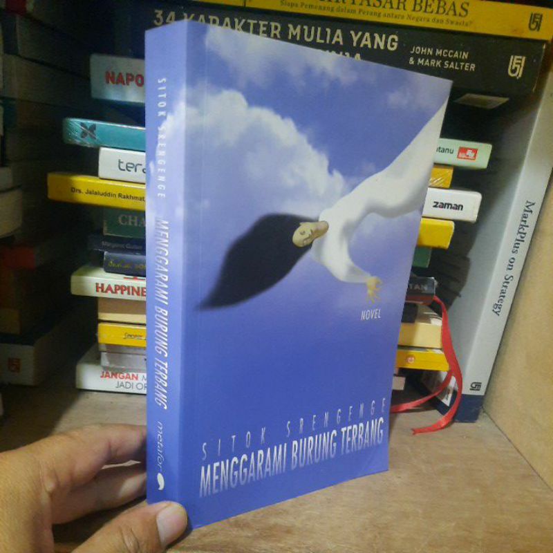 Novel MENGGARAMI BURUNG TERBANG by Sitok Srengenge