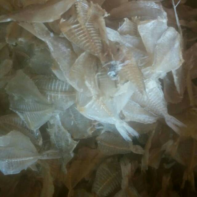 

Ikan Kapasan