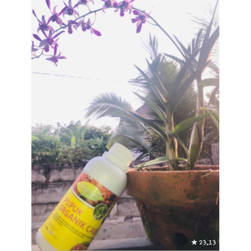 

Vitgrowth PUPUK ORGANIC CAIR 250ml