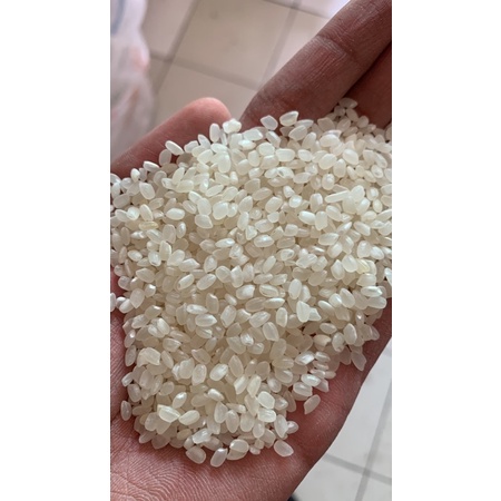 

Beras Jepang (KARUNG POLOS)