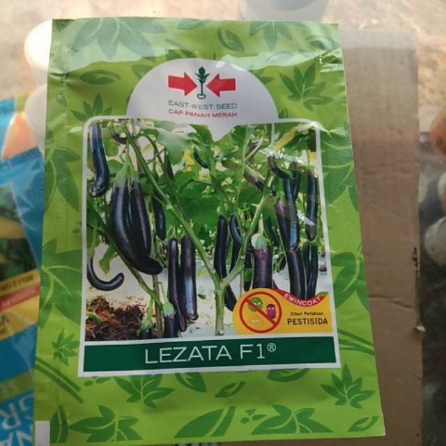 Bibit terong Lezata F1