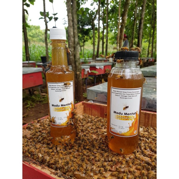 

MADU MURNI100%HALAL lulus uji lab