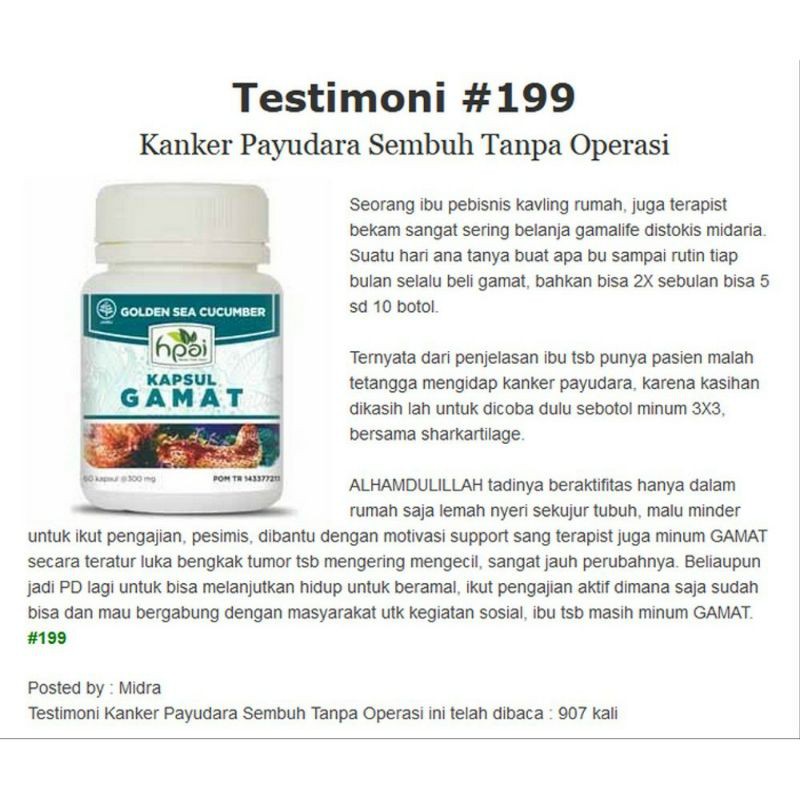 Gamat Kapsul Hni Hpai Ekstrak Teripang Emas Herbal Untuk Nyeri Sendi Indonesia