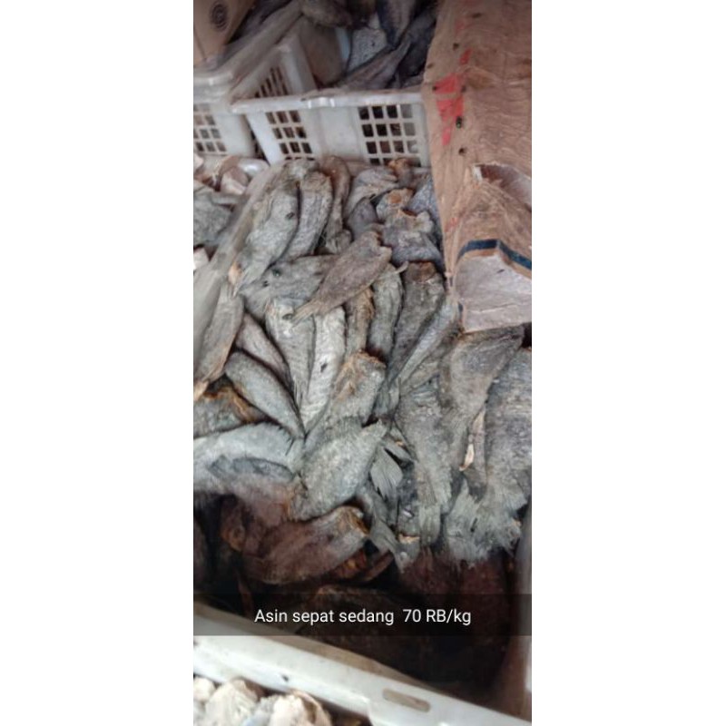 

IKAN ASIN SEPAT SEDANG