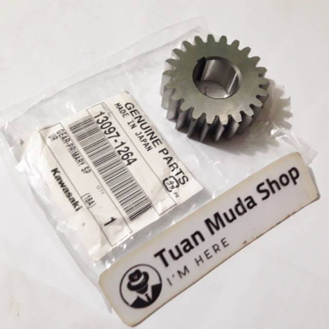 Gigi primer ninja r rr original genuie part