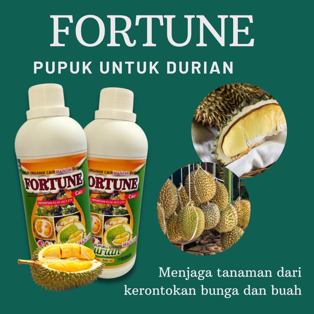 Pupuk Organik Cair Booster Durian Cair Pupuk Fortune untuk Durian Pupuk Durian Boster Pupuk Durian D