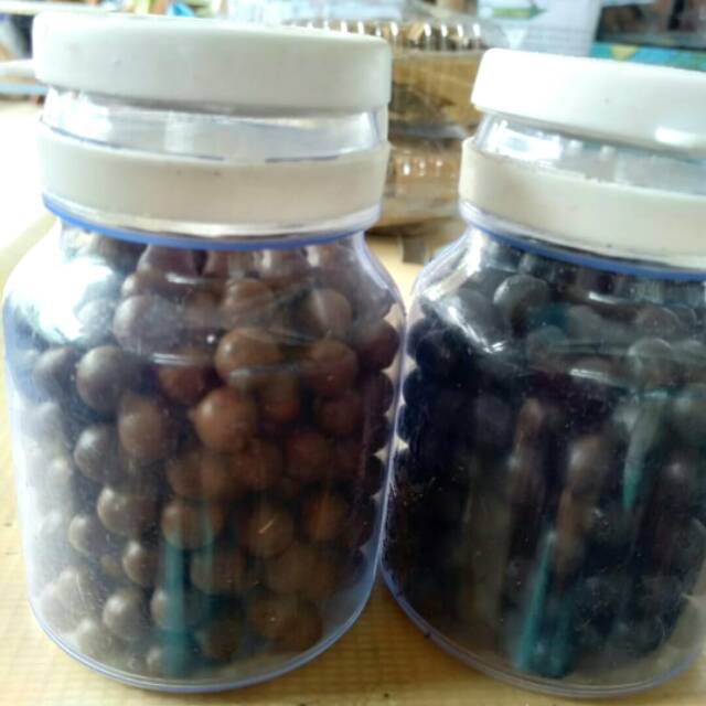 PIL MANJAKANI DAN SIRIH PINANG KALIMANTAN