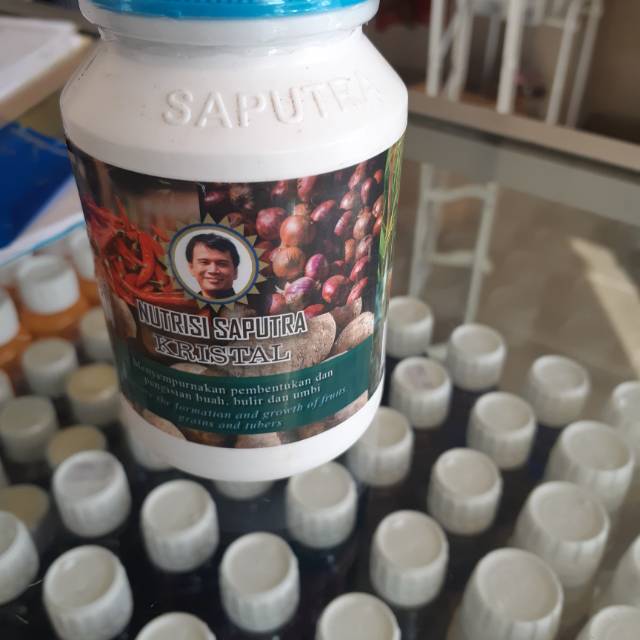 Nutrisi Saputra Kristal