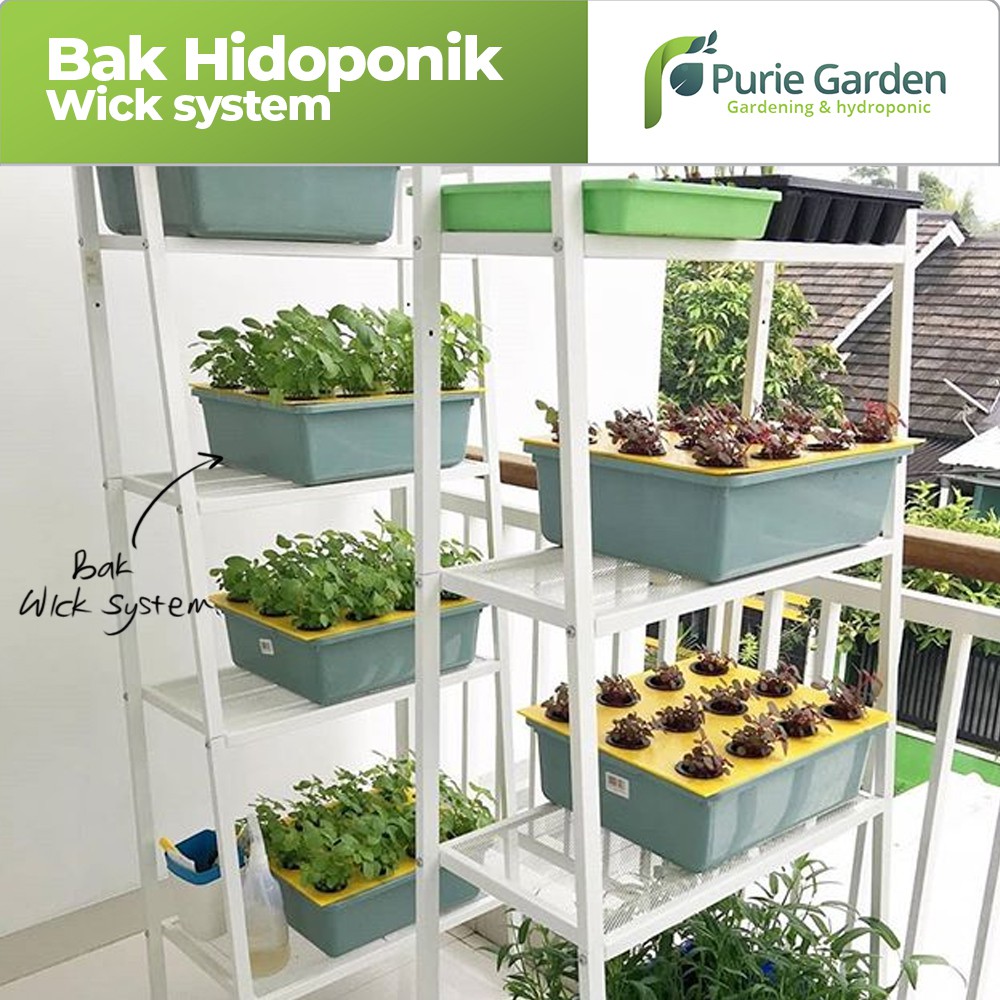 Bak Nutrisi Starter Kit Hidroponik-1pcs