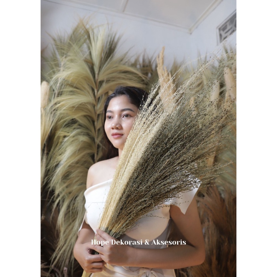 Promo GREEN GRASS  BUNGA KERING BESAR DEKORASI RUSTIC Limited