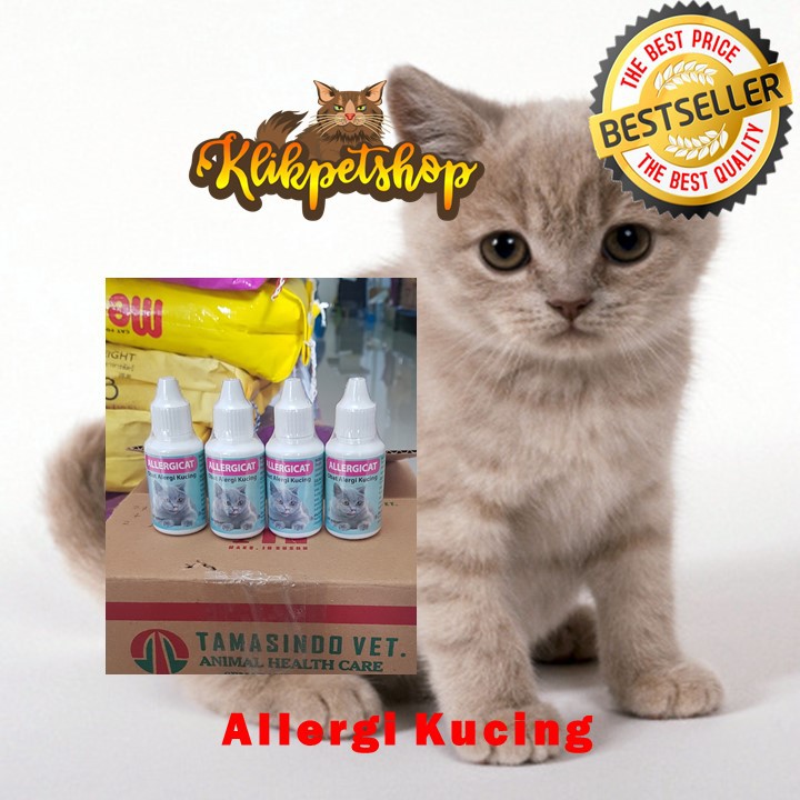 ALLERGI CAT Obat Kucing Gatal Kulit Radang karena allergi