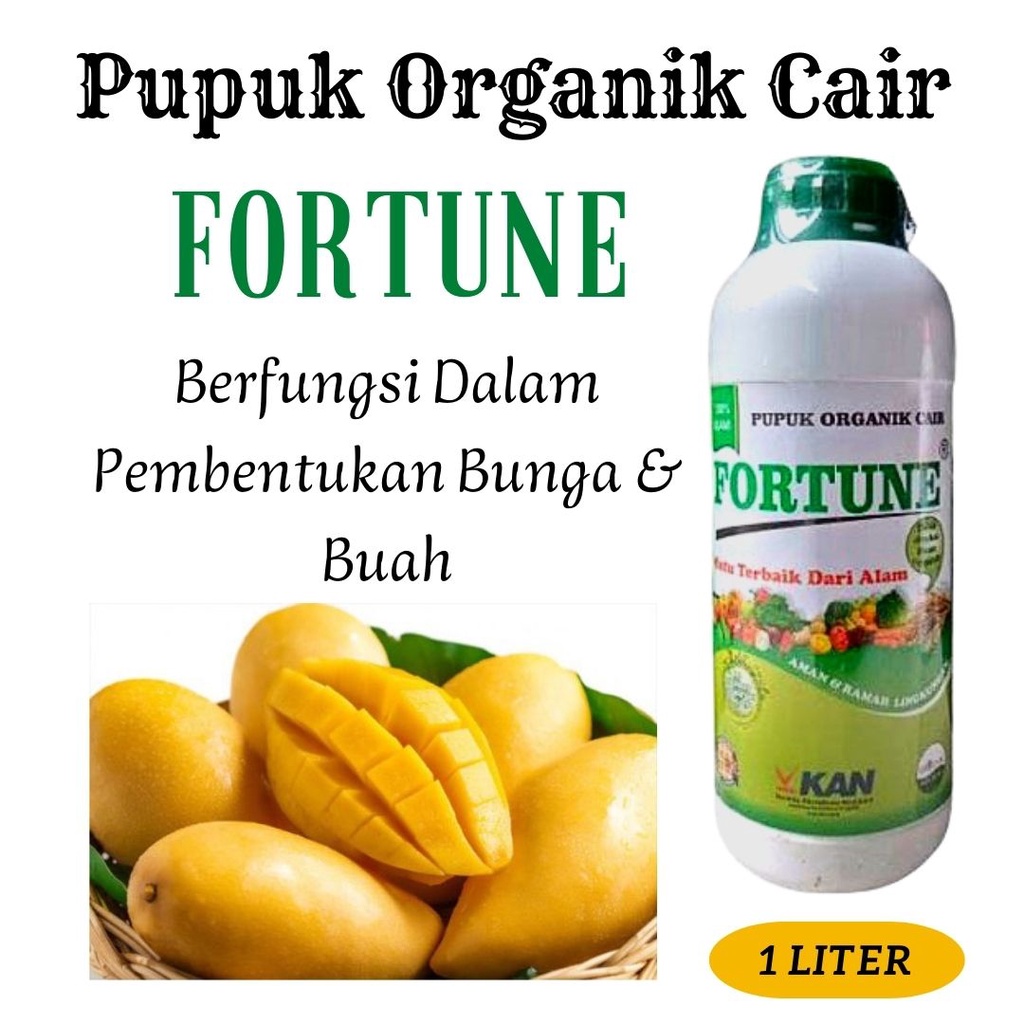 Pupuk Mangga Indramayu Berbunga, Pupuk Buah Mangga Yang Bagus