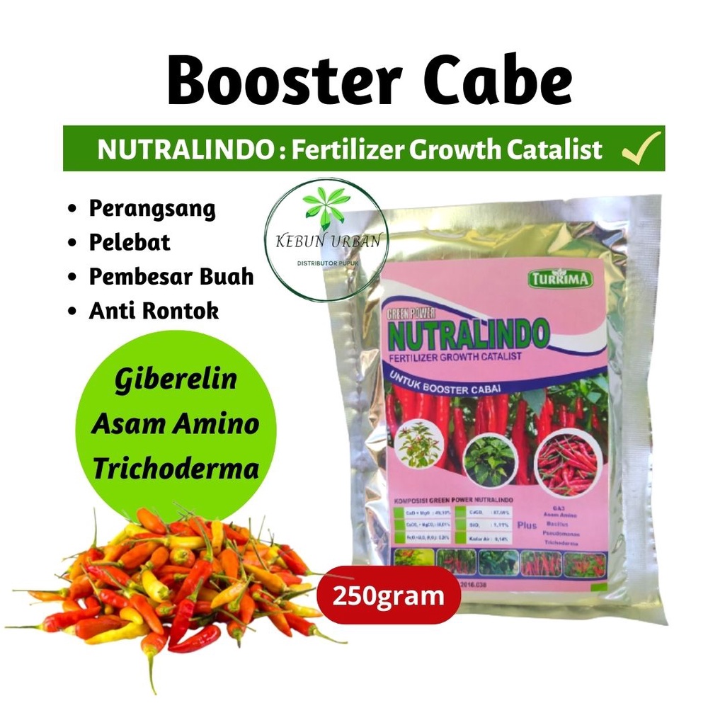 Booster Pupuk Cabe Anti Rontok, Pupuk Cabai Rawit Pelebat Buah, Pupuk Organik Perangsang Bunga Cabe 