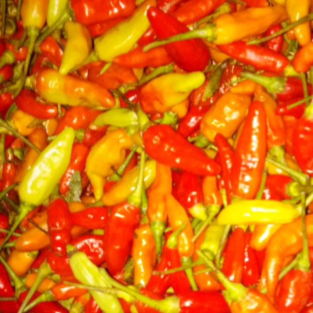 

Cabai rawit merah segar