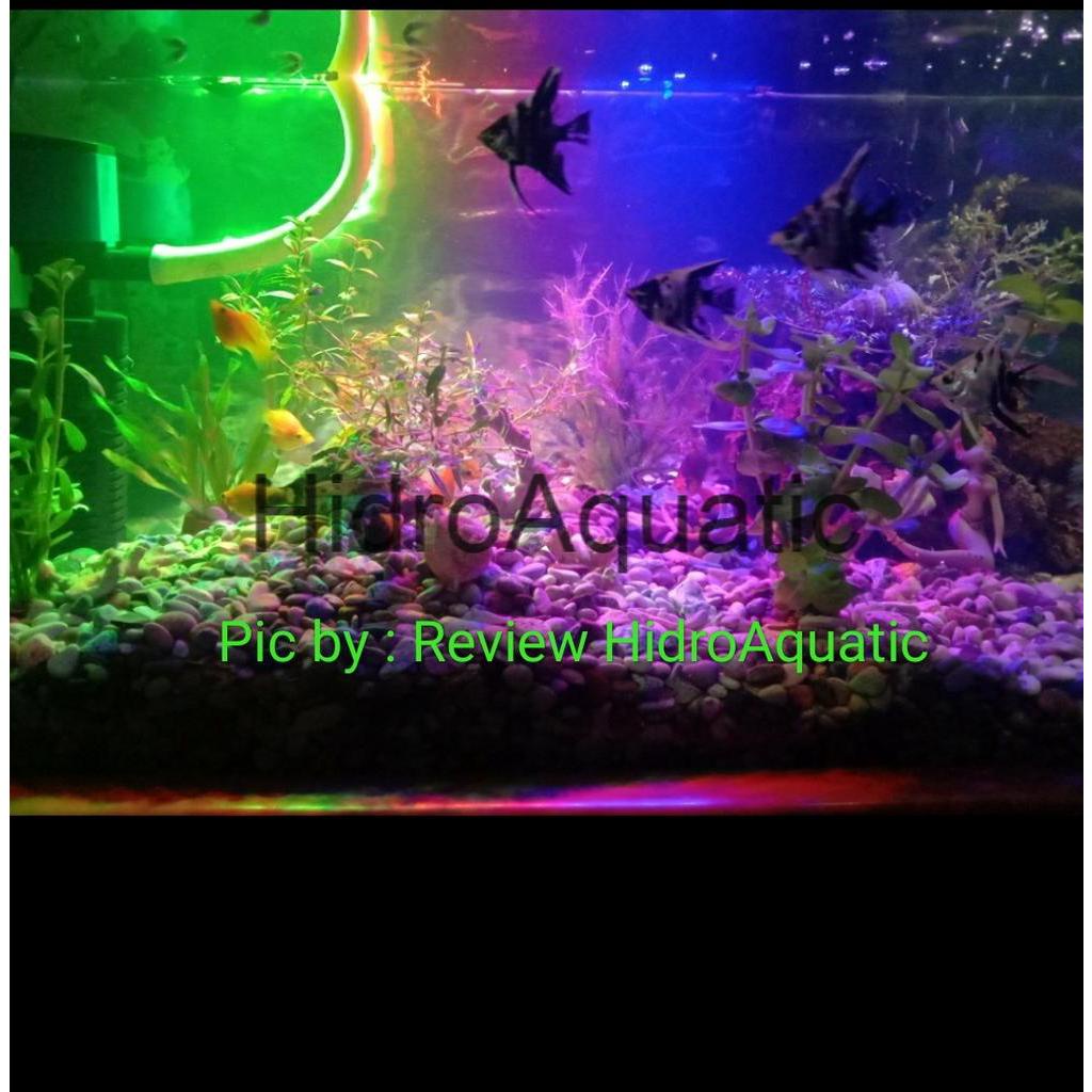 Lampu Aquarium 3 Warna 40cm / Lampu celup aquarium / Lampu led aquarium