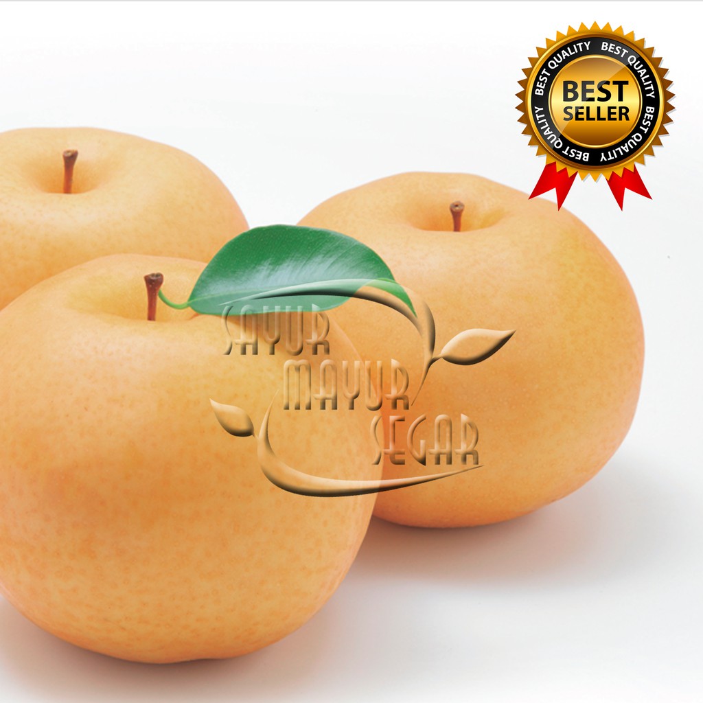 Sayurmayursegar Premium Pear Singo Korea Original Segar Dan Manis Buah Curah Shopee Indonesia 