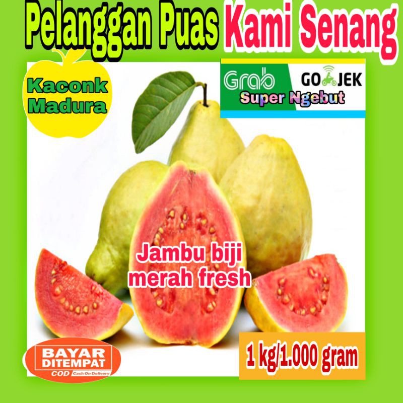 

Jambu biji merah (1kg/1.000 gram)buah segar fresh/buah kaya manfaat
