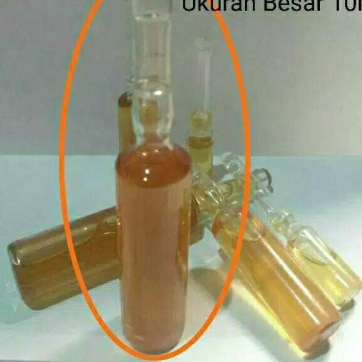 

Minyak Lolombo Besar