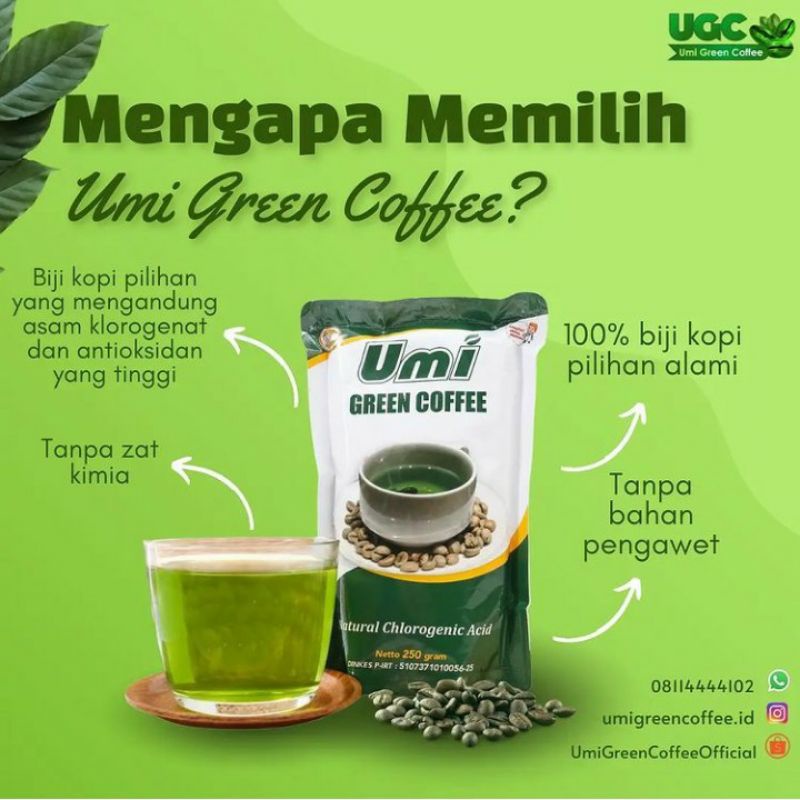 Umi Green Coffee Original