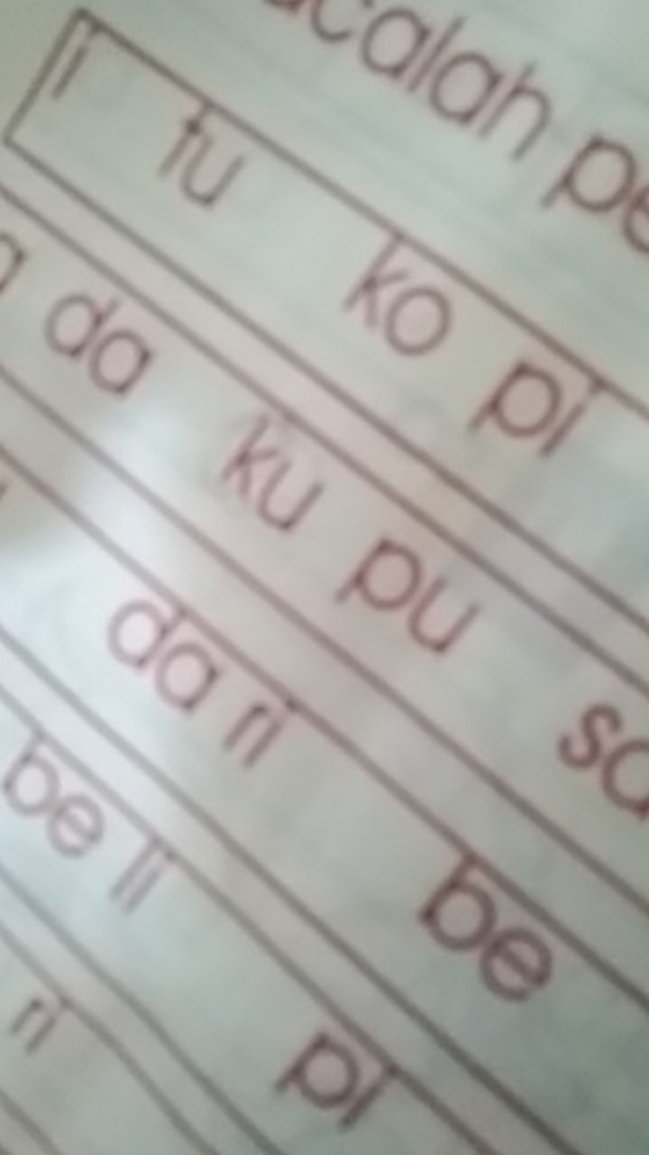 350ml Botol Toples Makanan Snack Kering Ringan Botol Toples Plastik Jar Madu Sambal Selai