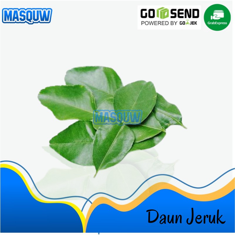 

DAUN JERUK DAUN SALAM SAYUR SAYURAN FRESH SEGAR