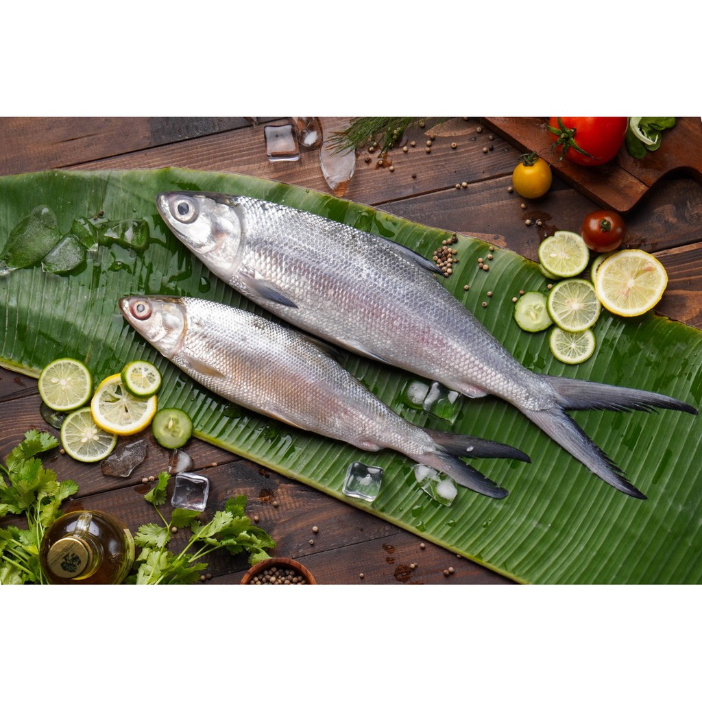 

IKAN BANDENG | MILKFISH | FRESH