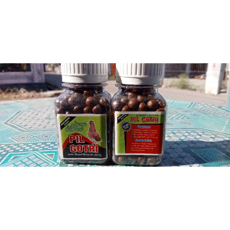 pil gotri