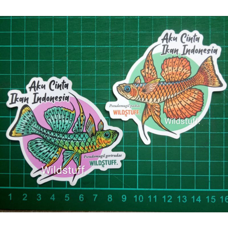 Sticker Wildstuff Aku Cinta Ikan Indonesia Pseudomugil gertrudae & Pseudomugil paskai