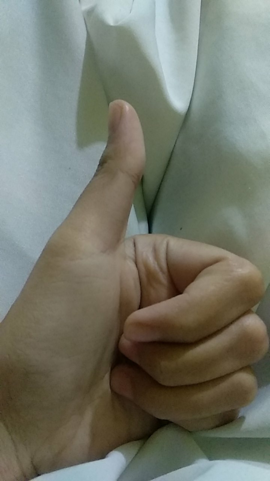 Kain Batik Pekalongan Motif Catfish Katun