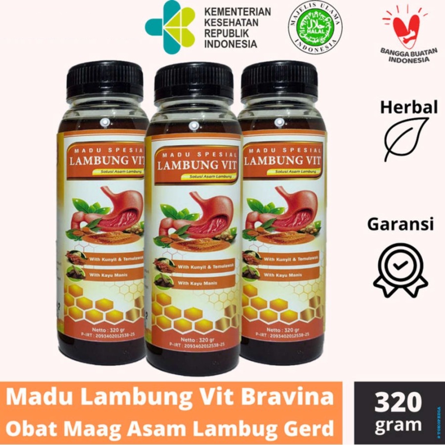 

Bravina Lambung Vit Untuk Asam Lambung Maag Kronis Gerd
