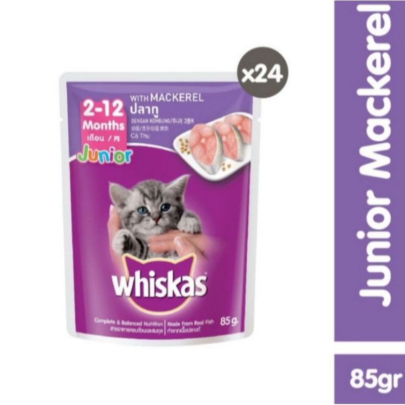 pouch whiskas junior 85g whiskas sachet junior makarel 24 pcs