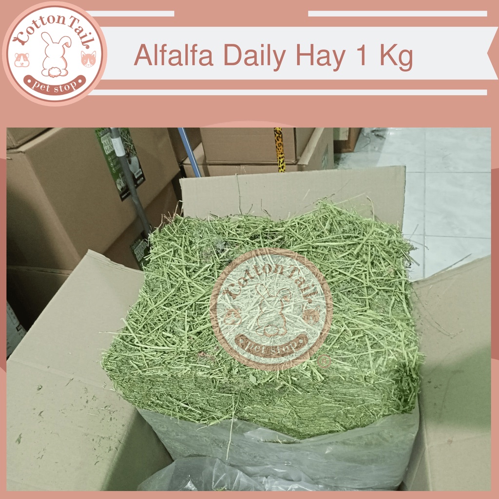 Makanan Kelinci Rumput Alfalfa Daily Hay 100% Organic 1Kg