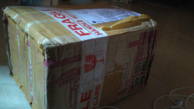 Sumpit Glugu Pohon Kelapa