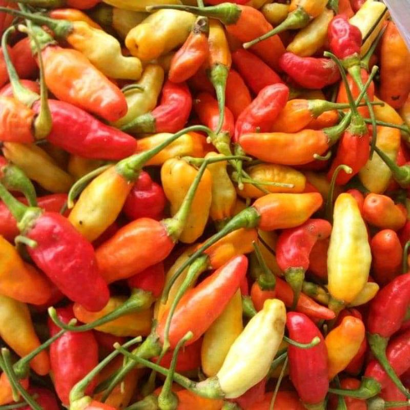 

cabe rawit setan per 250 gram