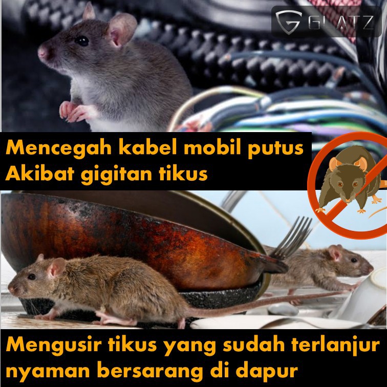 Parfum Anti Tikus Semprot Rodent Repellent GLATZ Obat Pengusir Tikus Mobil Rumah Kantor Aman Ampuh-2