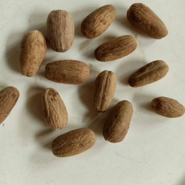 

pala panjang Pala lonjong biji pala panjang nutmeg
