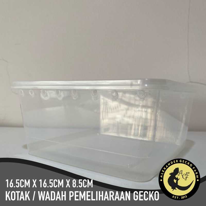 Tempat Kotak / Wadah Pemeliharaan Gecko / Reptil / Bearded Dragon Baby Up