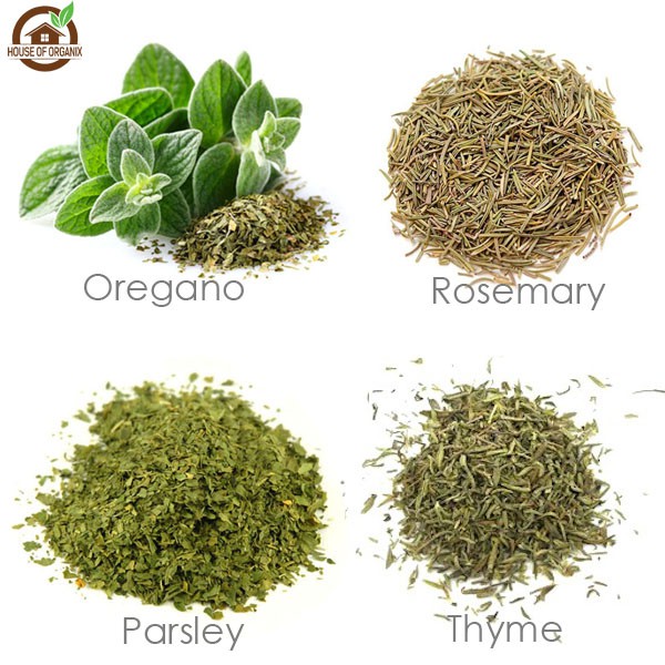 Essential Herb Pack / Paket ( Oregano , Thyme , Parsley , Rosemary )