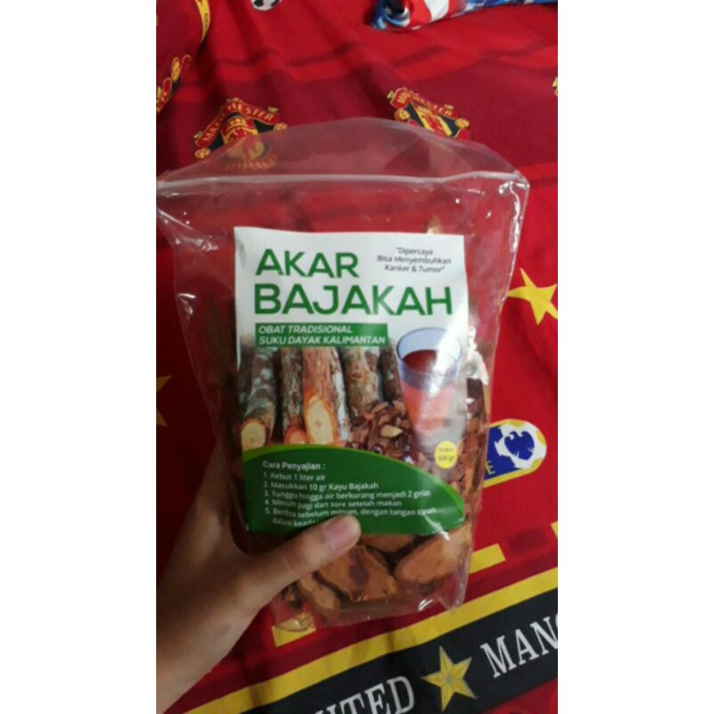 

akar bajakah