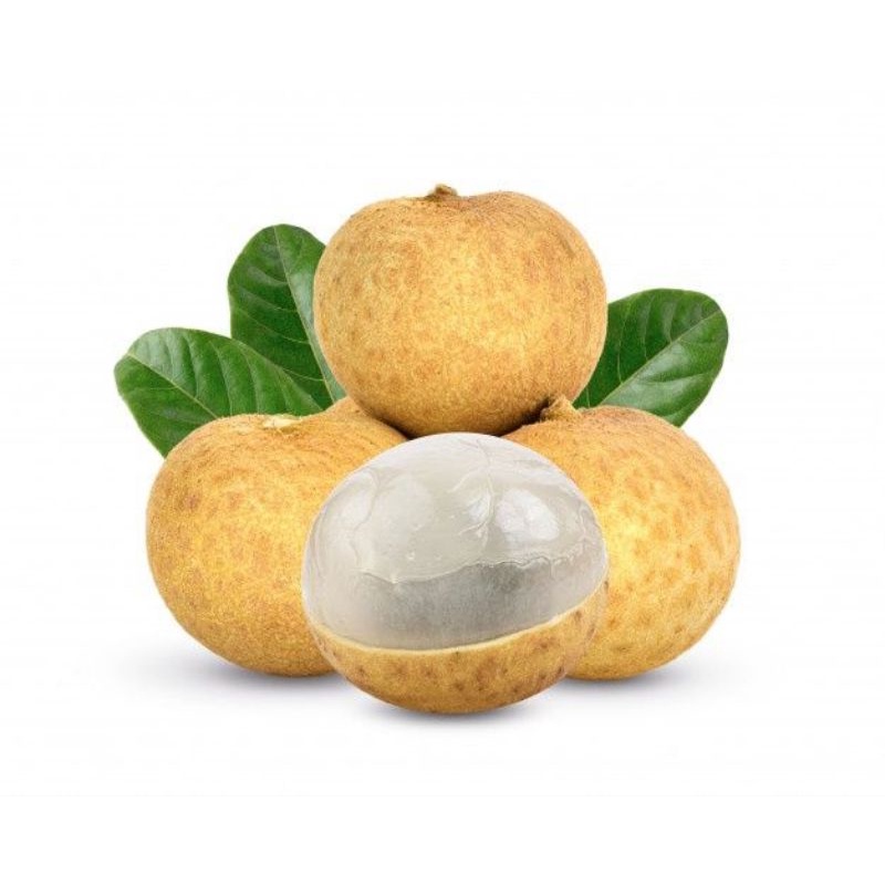 

Kelengkeng Bangkok 500gr